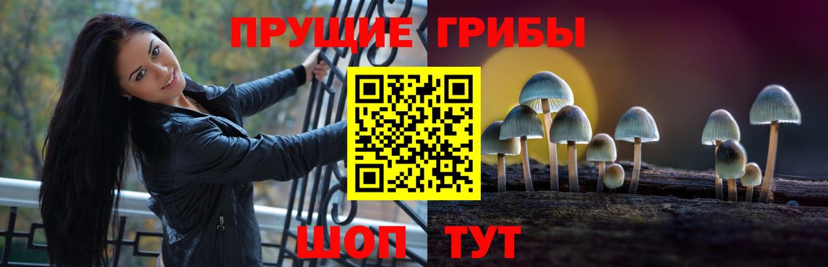 Псилоцибиновые грибы Cubensis  где можно купить наркотик  Карпинск  Вход с VPN 
